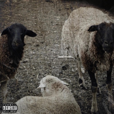SRT music - Single