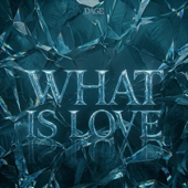 WHAT IS LOVE (feat. Luminas) [Dage Remix] song art