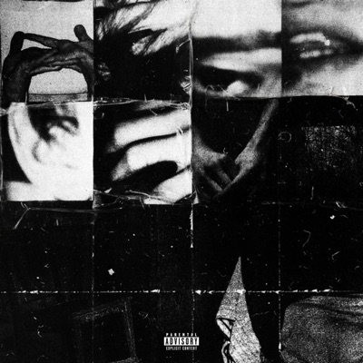 Post Traumatic Stress Disorder (PTSD) (feat. $TRANDED & Triplesixdelete) - Single