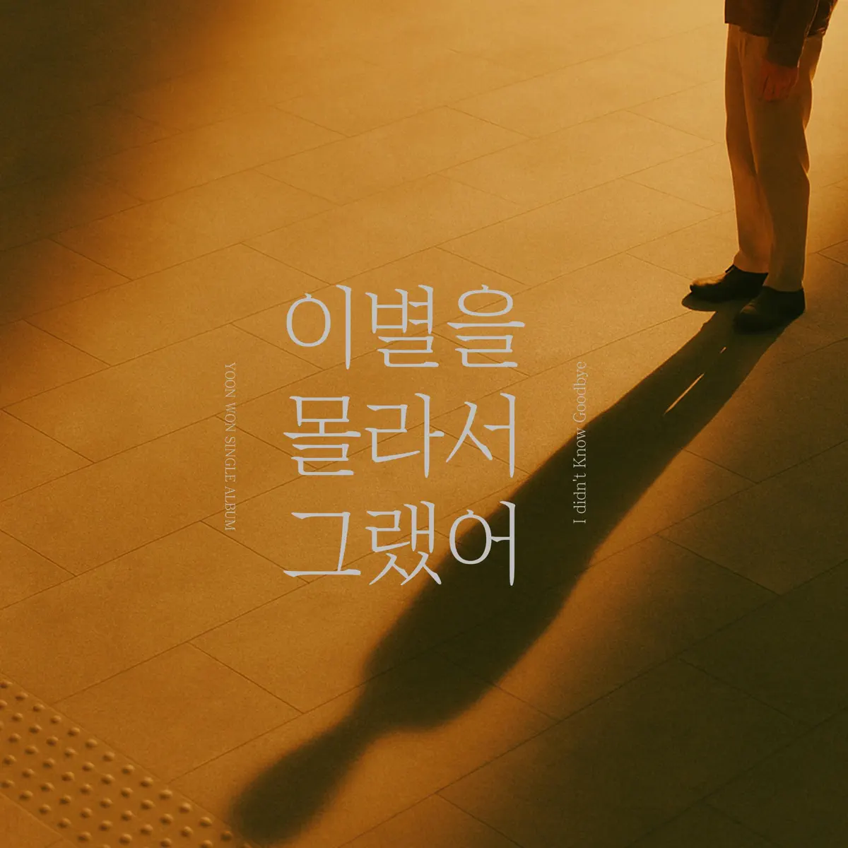YOONWON - I didn't Know Goodbye - Single (2025) [iTunes Plus AAC M4A]-新房子