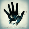 Among The Wildest Things - Noah Guthrie
