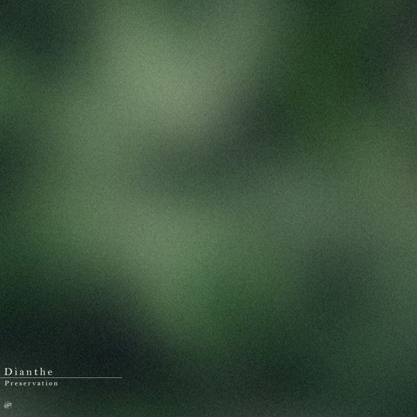 Preservation - Single