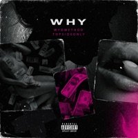 Why (feat. topsideonly) - Single - wydmethod