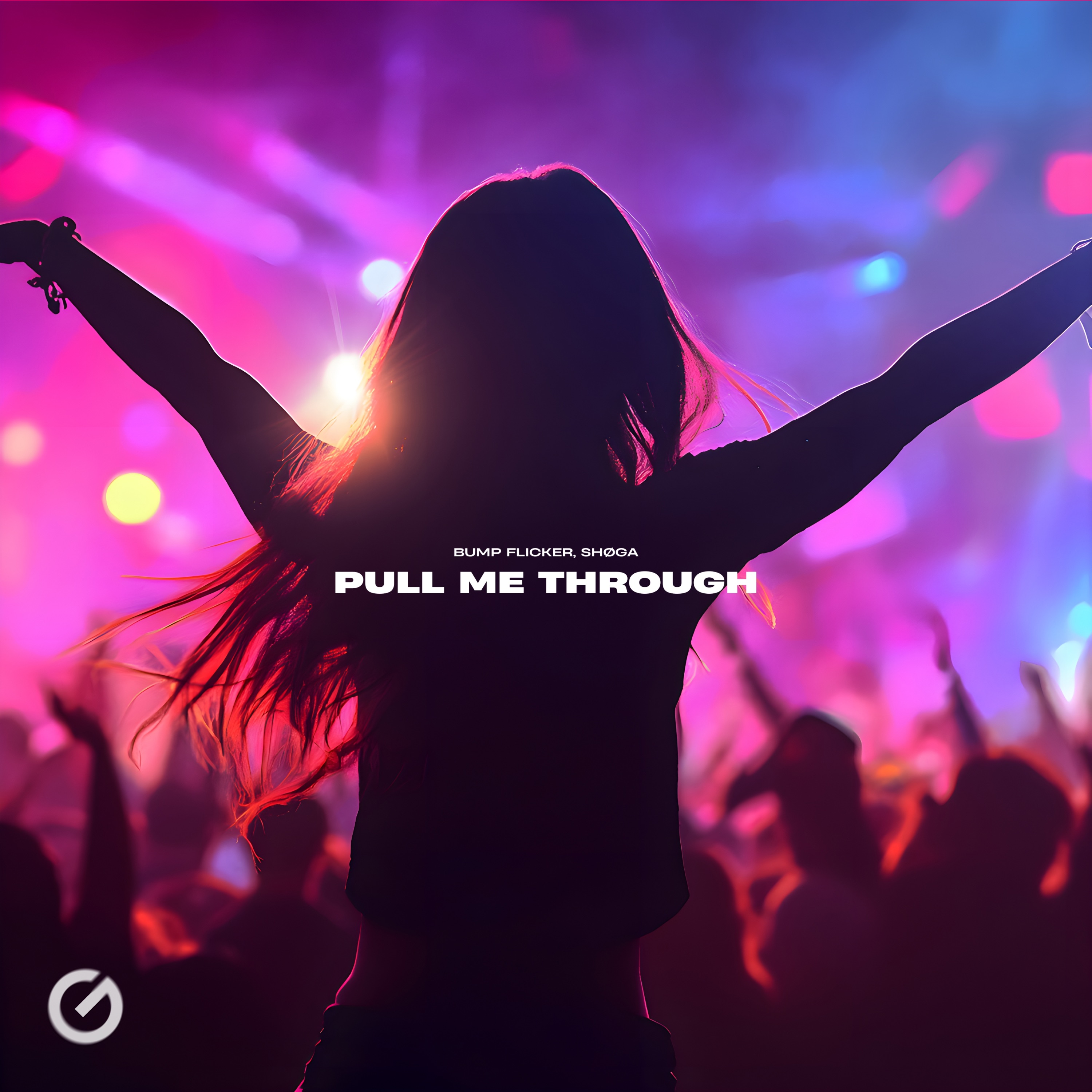 Bump Flicker & SHOGA - Pull Me Through