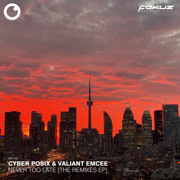 Never Too Late [the Remixes] - Single