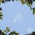 Canary Bird