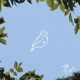 Canary Bird Single