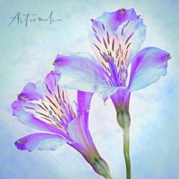 Astromelia - Single - Best Pulse & The Retune Project