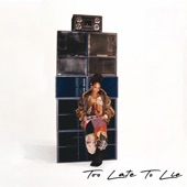 Too Late to Lie artwork