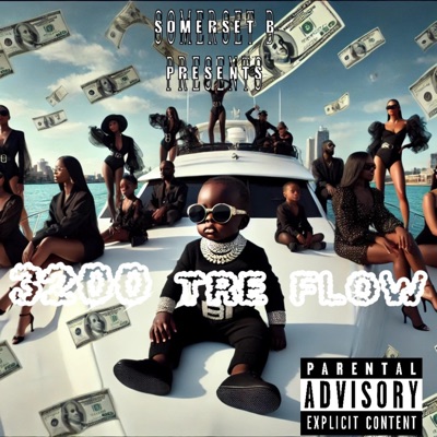 somerset b x 3200 flow - Single