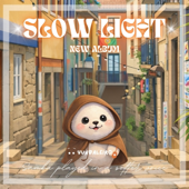 Slow Light
