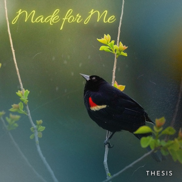 Made for Me - Single