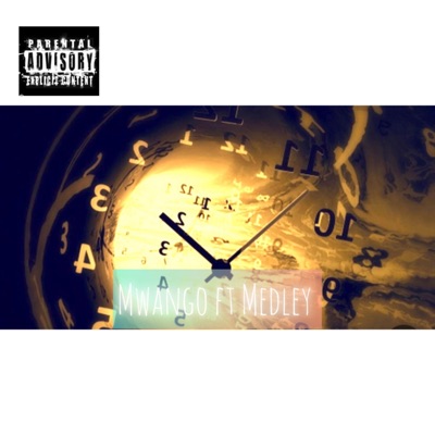 Nkoloko (feat. Medley) - Single