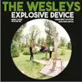 The Wesleys