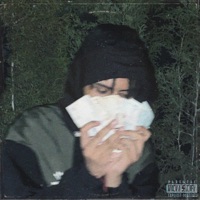 Fractales (feat. R99) - Single - Drippin