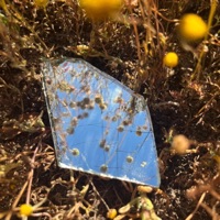 afternoon dreaming - Single - Sleepless Society