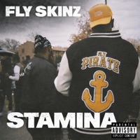 Stamina - Single - Fly Skinz