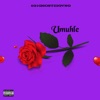 Icon Umuhle (feat. S.kay Fuze, Andy Boy & Emie Jay) - Single