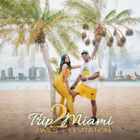 Trip 2 Miami - Single - LEVITATION