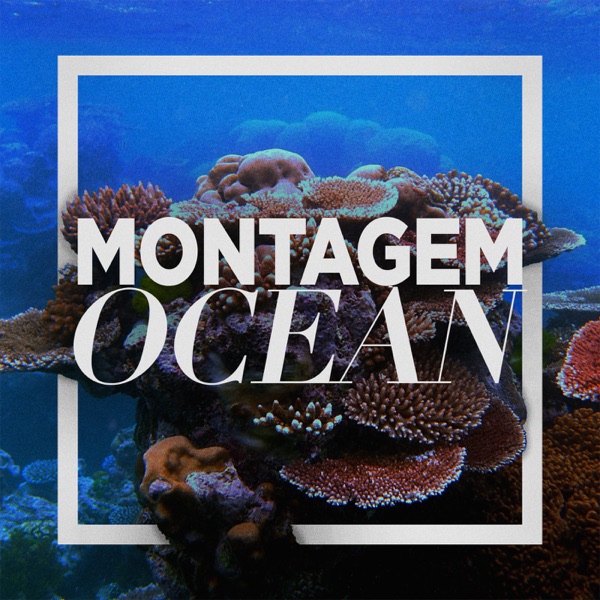 MONTAGEM OCEAN (feat. LILAAX) - Single