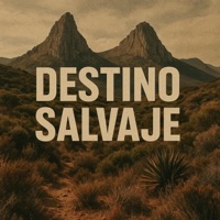 Destino Salvaje - Single - Jp el Arabe