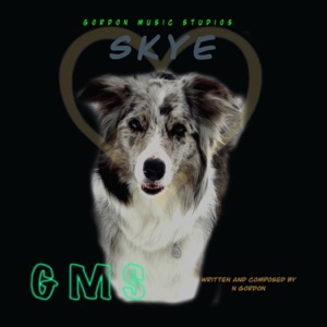 Skye - Single