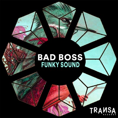 Funky Sound - Single
