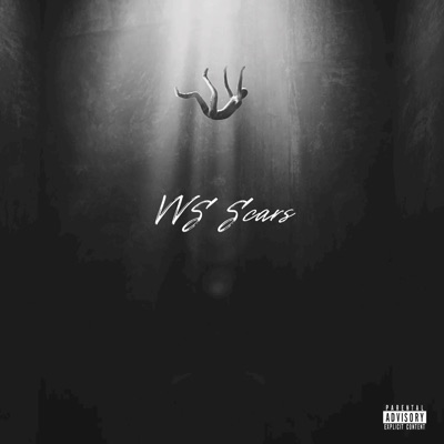 VVS Scars - Single