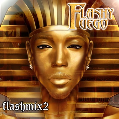 FLASHMIX 2