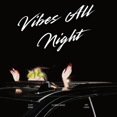 Vibes All Night (feat. SRT Chris) - Single