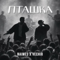 пташка - Single - NAIMES & VECHIR