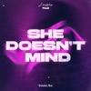 She Doesn't Mind (Hypertechno) - Single