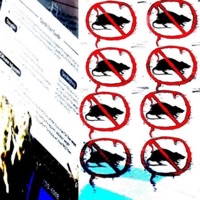 1knee - Single - hav7c