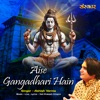 Aise Gangadhari Hain - Single