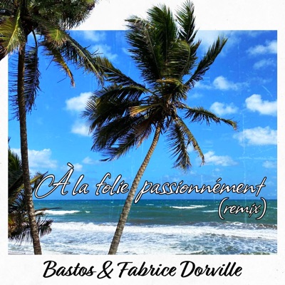 À La Folie Passionnément (feat. Fabrice Dorville) [Remix] - Single