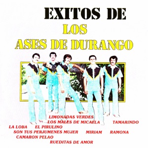 Éxitos de los ases de Durango
