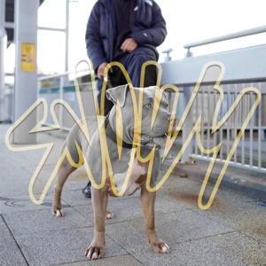 BANNED - EP
