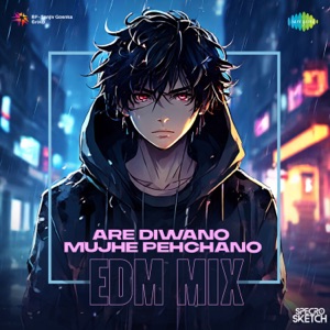 Are Diwano Mujhe Pehchano (EDM Mix)