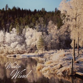 Winter Wind (feat. Nikita Ayzatulin) Joshua Chinappen & LORENA