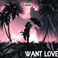 Want Love - Single - Yhl Lenciii