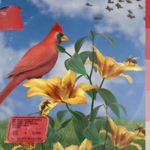 Birds & Bees (feat. Carter Brown) [Remix II]