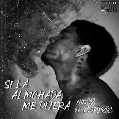 Si la almohada me dijera (feat. Dime Raidy) - Single