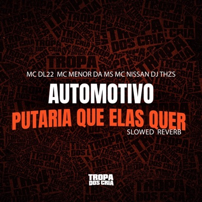 Automotivo Putaria Que Elas Quer Slowed + Reverb (feat. Mc Nissan) - Single