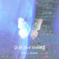 雨夜溺亡的蝴蝶 - Single - 菲菲公主(陆绮菲)