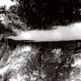 Porch (leave it outside) Cherry Rype