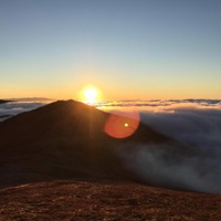 Crutch (feat. Situs) - Single - Erik The Great