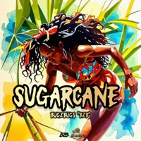 SUGARCANE - Single - BugZbugs 