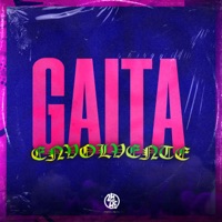 Gaita Envolvente - Single - DJ DW 011, MC Flavinho & MC Pogba