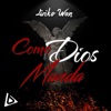 Como Dios Manda (feat. Maniako, Toser One & Newtro) - Single