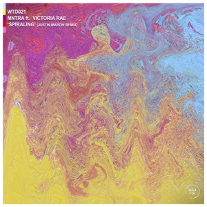 Spiraling (Justin Martin Remix) - Single